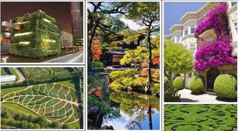 造景内容材料：中式园林， 自然和谐，西式园林，人工精致