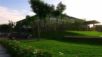 草坪搭配， 园林之美从“草”开始