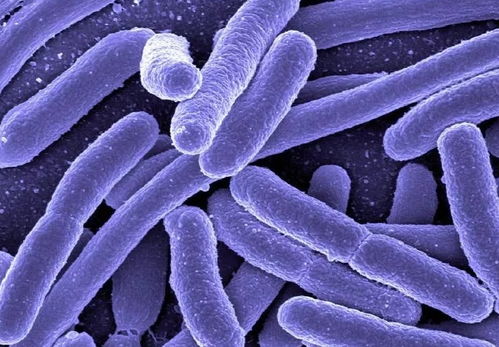 具体操作， 这样来