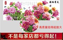 蔬菜地使用除十字花科除草剂时有哪些适合的除草剂可以选择？