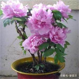 选对月份，还要注意这些细节