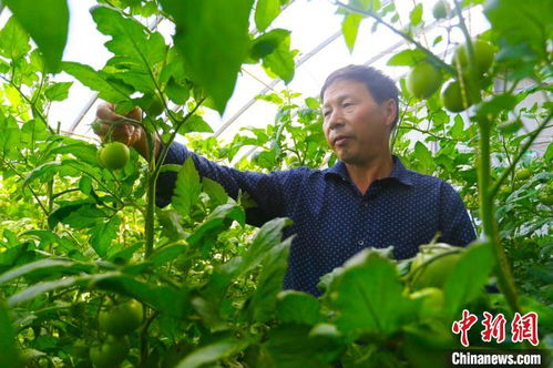 西北地区的自然条件