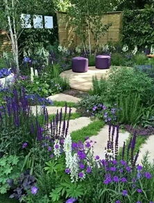 空间小？那就搞个垂直园艺或着容器栽培