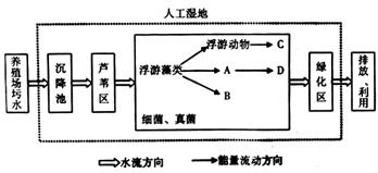 如何确定育肥猪舍环境优化的光照到噪声五大关键指标？