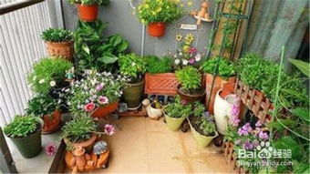 盆花换盆指南：为何及如何进行，轻松掌握！