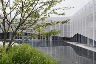 绿色脉络与诗意栖居