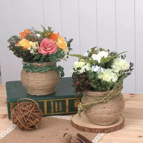 简单高效，比市面上的生根水效果还好