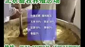 贝贝康兽药能治疗哪些常见病，如何降低养殖场防治成本30%？