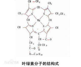 绿色木霉菌农药的神奇成分