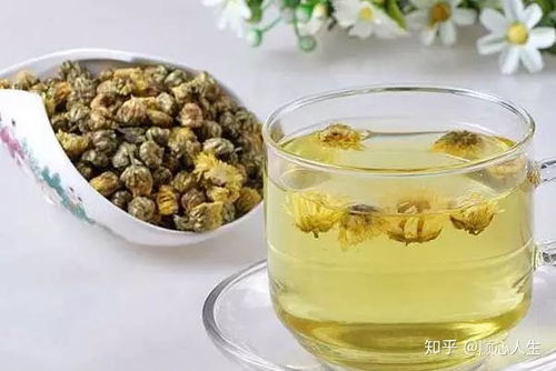 蜂蜜菊花茶能一起泡水喝吗？这样搭配营养更丰富