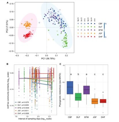 不同纬度表现对比：