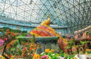 昆明花拍公园在哪里？怎么进入呢？