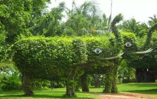 图片识别，便捷的学习方式