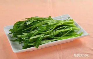 菠菜和绿豆的种植方法