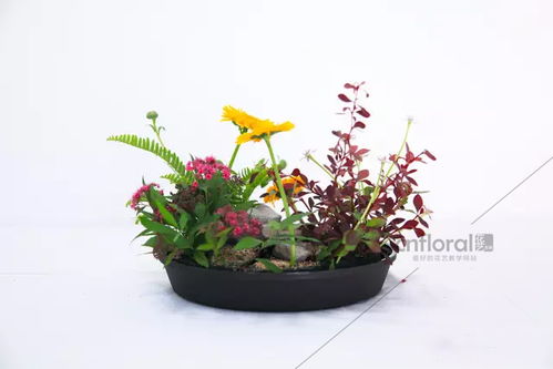 果实与根茎：秋冬季的亮点