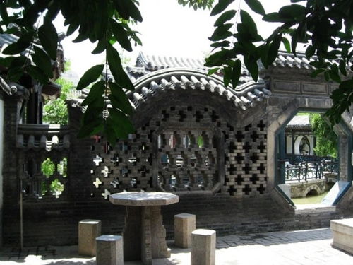 阳光下的坚强——适合内蒙古地区的花卉