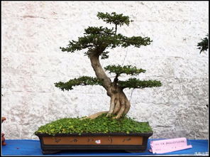 不同地区， 价格差异大