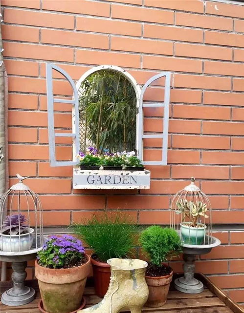 黑色植物的秘密