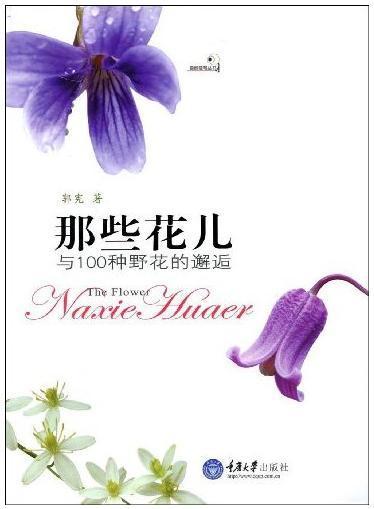 “友谊之花（邂逅友谊的美妙时刻）中