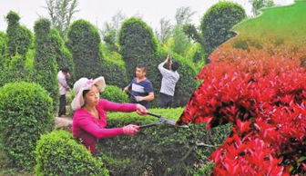 清园管理， 苗圃的“清洁工”