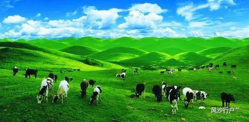 防风固根， 工程创新