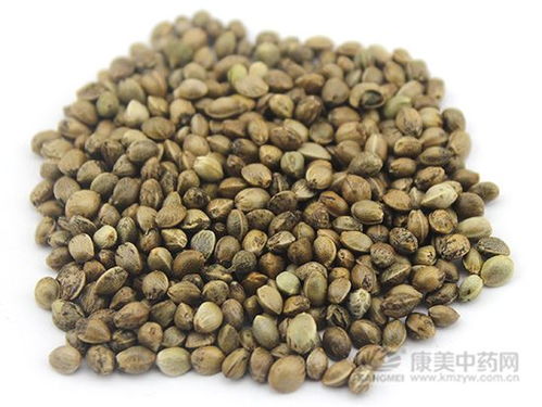 杏核晒干就嫩存？大错特错！