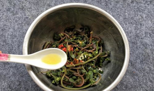 红笕菜，富含营养