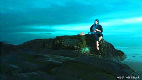 橡树的静谧守护