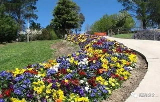 一、春季露地草本花卉有哪些？