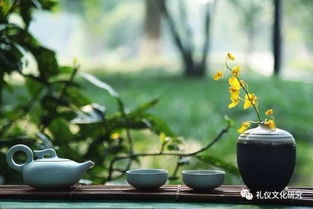 老农喝茶堪报，丰收的秘密？