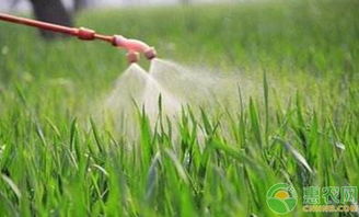 稀释方法， 有讲究