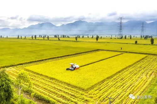 如何科学种植提高产量