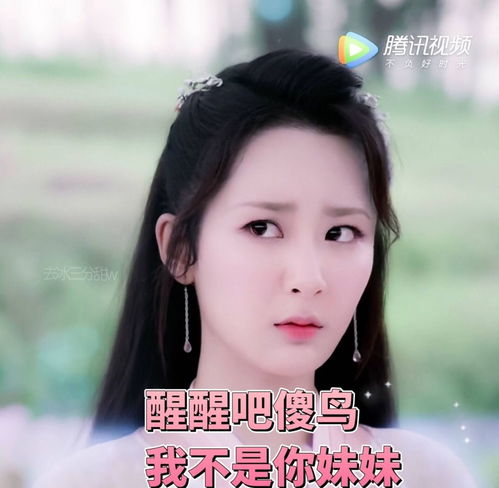 玉翁仙球，花界颜值巅峰