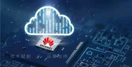 头部企业（TOP5）关键指标