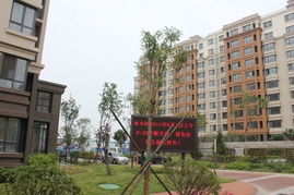 楼间距过窄，这5种深粉色大花植物真的耐阴抗病吗？