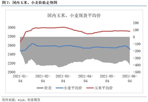玉米价格暴跌，猪价是否会引发全国范围内的降价潮？