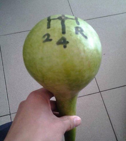 葫芦掐尖最佳时机是何时？错过就晚了