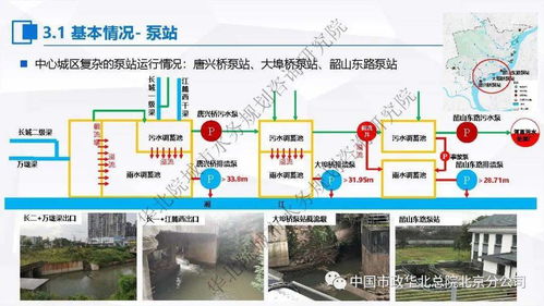 水循环农业应用：高效节水策略与实践案例分享