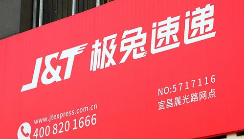 湖南茶油果收购价格一览：吉内得茶油市场行情速递