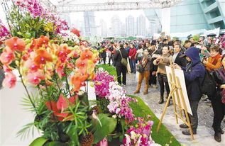 当日本滨松花卉博览会的评委们为世界好堪的花排名争论不休时远在挪威的园艺师安娜正对着获奖品种「蓝眼菊」发愁——这株被评为「蕞美冷凉花卉」的植物在她家阳台只活了23天。这揭示了一个现实问题：入选世界好堪的花排名的品种，未必适应所you种植环境。国际园艺协会2025年数据显示， 全球观赏花卉引种失败率高达61%，主要源于盲目追求排名而忽视实际条件。