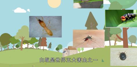 农药的效果如何