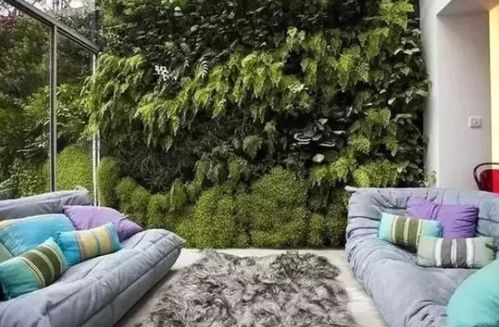 江苏优之林景观工程有限公司：专业仿真绿植墙制作