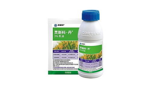 不同规格价格大不同