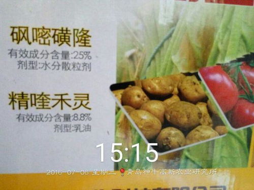 私信TA向TA提问西红柿移栽后的除草剂选择需谨慎