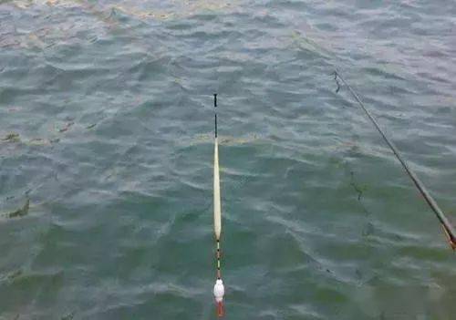 鲤鱼调漂：掌握浮漂下沉速度
