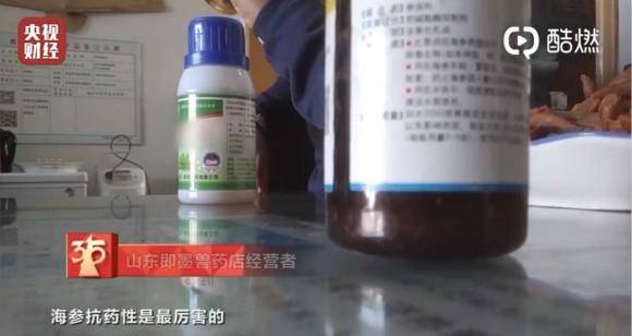 先说说我自己的经历吧