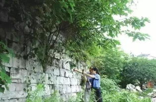 苏州园林局的创新实践