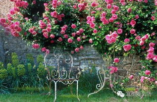 四月份新手种植新植物的乐趣之旅