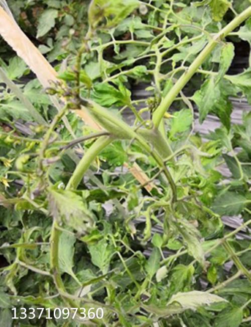 防范为主， 综合治理