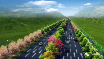 前言：绿色道路， 美好生活